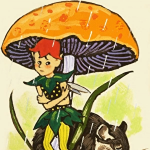 Pixie under a mushroom