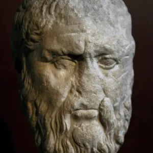 Bust of Plato, Roman Marble Print Bust of Plato, Roman Marble Print
