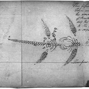 Plesiosaur sketch
