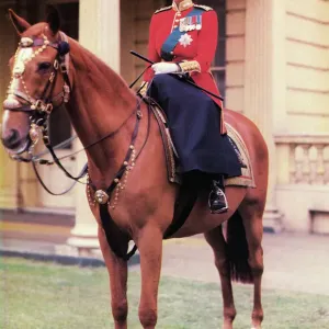 Queen Elizabeth II in Grenadier Guards Uniform Print c.1953 Queen Elizabeth II in Grenadier Guards Uniform Print c.1953