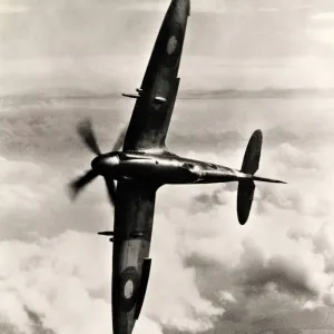 Supermarine Spitfire XIV Print: Knife-edged Profile Supermarine Spitfire XIV Print: Knife-edged Profile