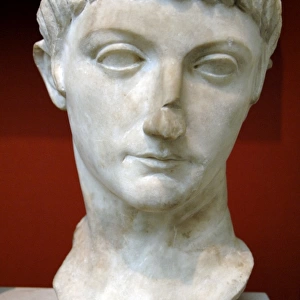 Portrait head from a statue of a prince of the Julio-Claudia