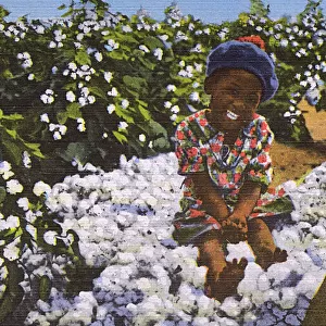 Postcard booklet, little child sitting on cotton, USA