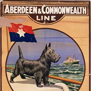 Terrier Metal Print Collection: Australian Terrier