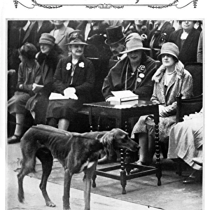 Princess Arthur of Connaught Ladies Kennel Association show