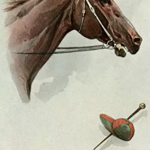 Profile portrait of a racehorse