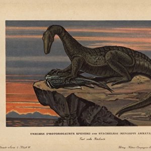Protorosaurus speneri, a lizard-like reptile