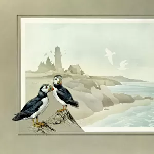 Two Puffins and a coastal landscape