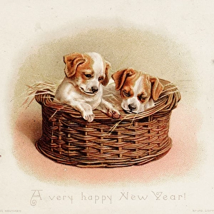 Two puppies in a basket on a New Year card
