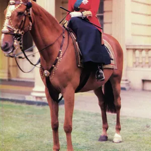 Queen Elizabeth II in uniform of Grenadier Guards