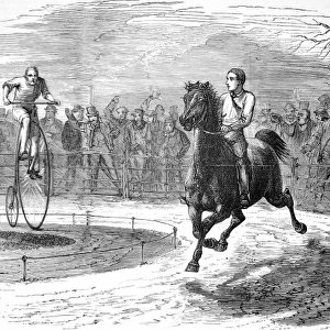 Race between a Bicycle and Pony, Hammersmith, 1874