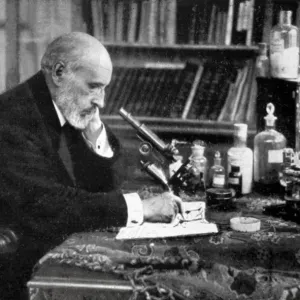 Ramon y Cajal Working in his Studio Print Ramon y Cajal Working in his Studio Print