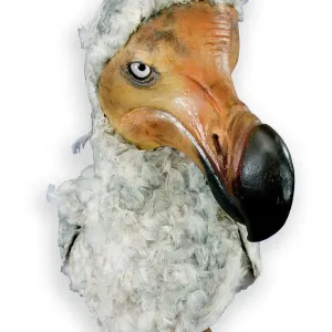 Mounted Dodo Specimen Print (Raphus cucullatus) Mounted Dodo Specimen Print (Raphus cucullatus)