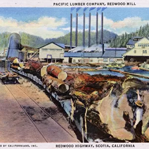 Redwood Highway, Scotia, California - Pacific Lumber Company