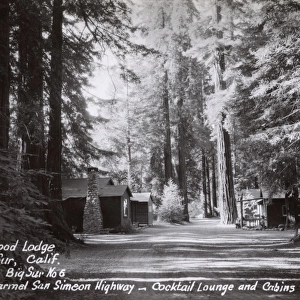 Redwood Lodge, Big Sur, Monterey County, California, USA