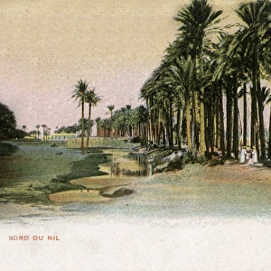 River bank of the Nile near Cairo, Egypt