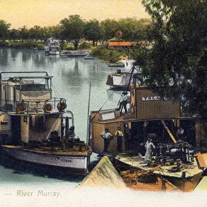 River Murray at Morgan, South Australia