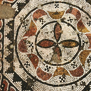 Roman Villa of Pisoes. Polychrome mosaic with geometric moti