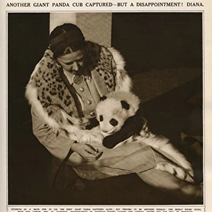 Ruth Harkness and her baby Giant Panda Diana, 1938