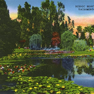 Sacramento, California, USA - McKinley Park Lake and Flowers