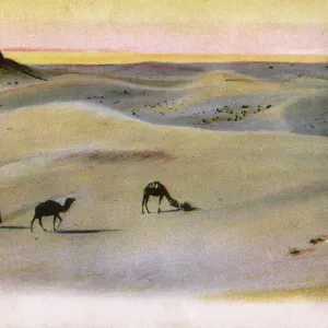 Libya Collection: Related Images