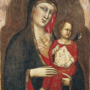 SAN LUCCHESE, Maestro di (14th c. ). Madonna
