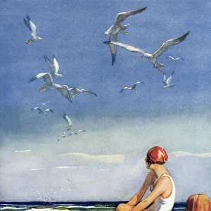 Sea-birds by Wilmot Lunt