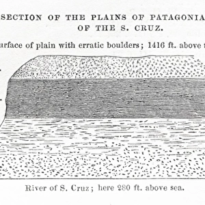 Section of the plains of Patagonia diagram