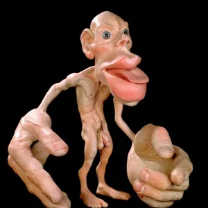 Homunculo sensorial