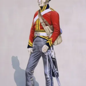 Maggiore Sergeante - Regio Nord Britannico Dragoni Maggiore Sergeante - Regio Nord Britannico Dragoni