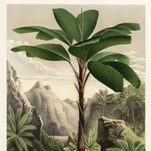 Seychelles Collection: Related Images
