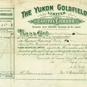 Share certificate for The Yukon Goldfields