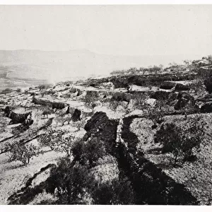 The Shepherds Field, Bethlehem, Palestine, modern West Bank