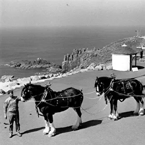 Shire horses and dray at Lands End, Cornwall