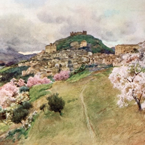 Sicily / Girgenti 1911