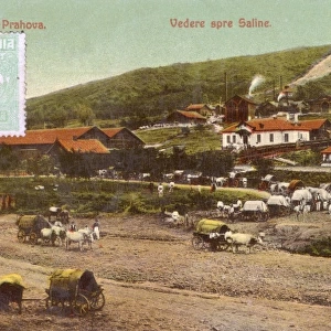 Slanic, Romania - Salt Mines