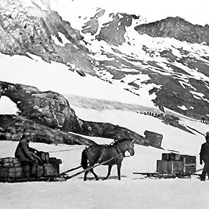 Sledge transport in Norway