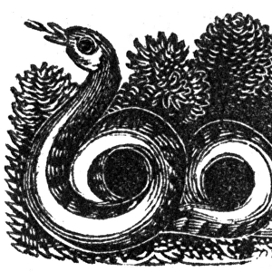 Snake, c. 1800
