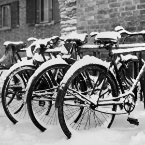 Snow-Covered Bicycles