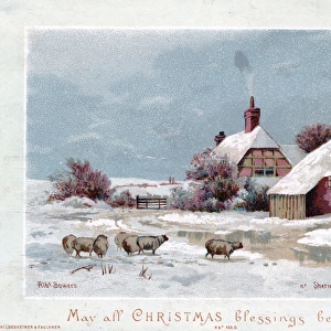 Snow scene with sheep and pond on a Christmas card