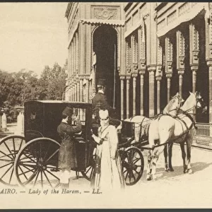Social / Cairo Harem 1905