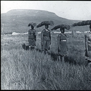 South Africa - Zulu Women Carrying Reeds