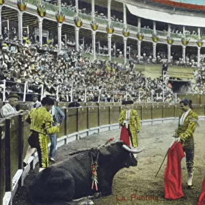 Spanish Bullfighting Series (10 / 12)