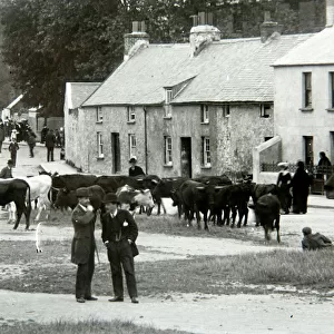 St Thomas Green cattle market, Haverfordwest, South Wales