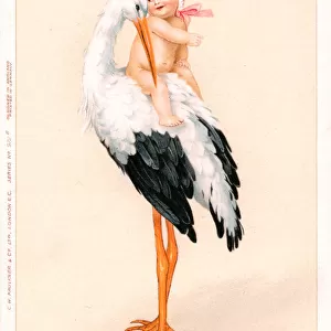 Stork with baby in pink on its back on a greetings postcard