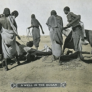 Sudan - A Well - Drawing water