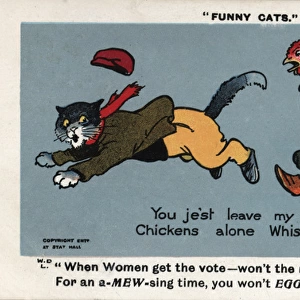 Suffragette Chicken Chases Cat