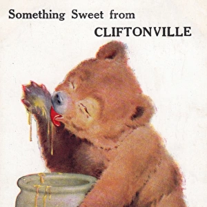 Teddy bear eating honey from Cliftonville