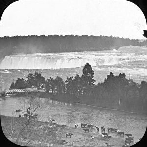Tour of the Colonies - Niagara - Horseshoe falls
