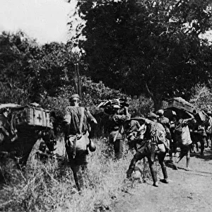 Transporting supplies to Handeni, East Africa, WW1